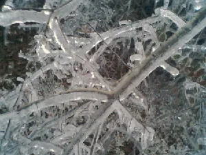 Oklahoma winter storm triggers more than 200 traffic collisions and damages buildings, including horse barn collapse